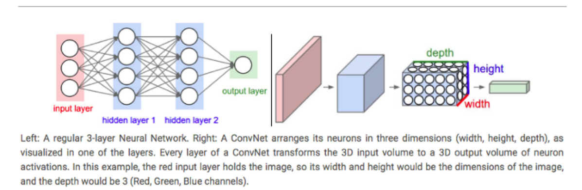 Fine-tuning a Neural Network explained - deeplizard