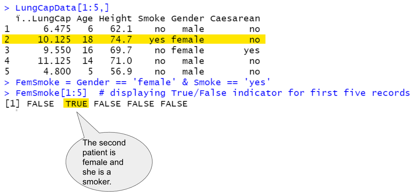 Sub setting Data & Logical Statements in R | AI Planet (formerly DPhi)